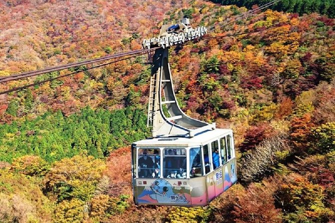 Mt Fuji & Hakone Cruise, Drum Show Bus 1 Day from Tokyo - A short cruise on volcanic Lake Ashi