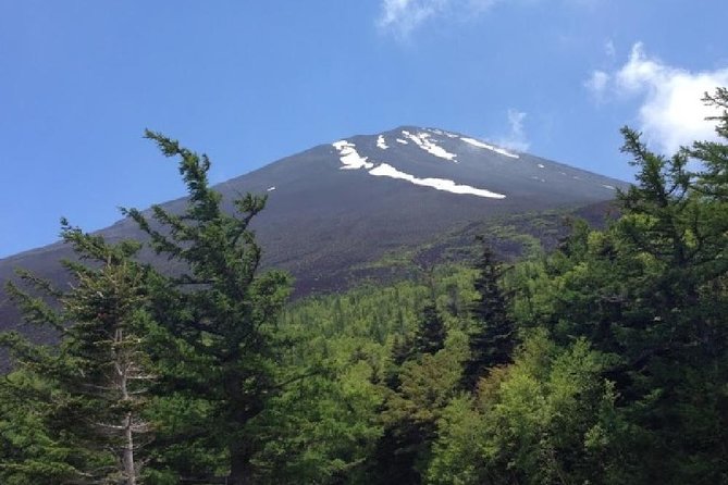 Mt Fuji & Hakone Cruise, Drum Show Bus 1 Day from Tokyo - Mt. Komagatake Ropeway and the summit shrine