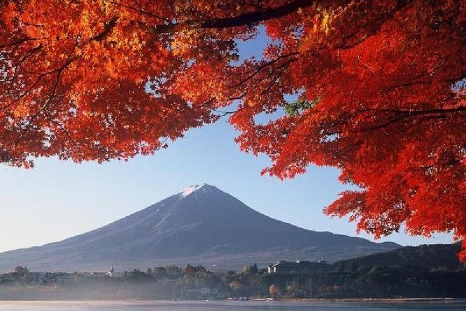 Mt Fuji & Hakone Cruise, Drum Show Bus 1 Day from Tokyo - The long road home and drop-off choices