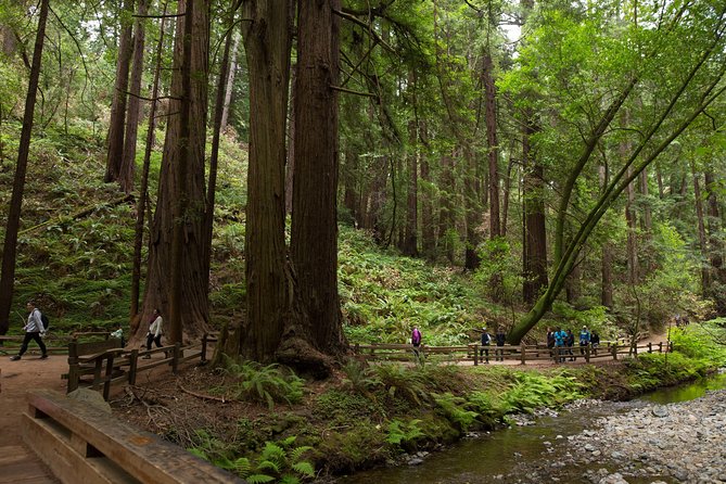 Muir Woods and Sausalito (Return by Bus or Ferry) - Why this half-day outing works well from San Francisco