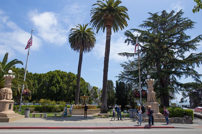 Muir Woods and Sausalito (Return by Bus or Ferry) - Walking beneath the coastal redwoods at Muir Woods