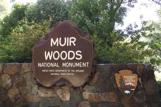 Muir Woods and Sausalito (Return by Bus or Ferry) - Choosing the bus or ferry back to San Francisco