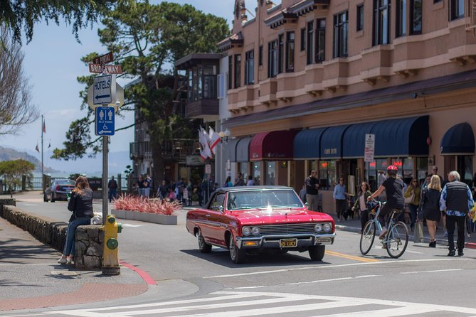 Muir Woods and Sausalito (Return by Bus or Ferry) - The important risk: closures and last-minute changes