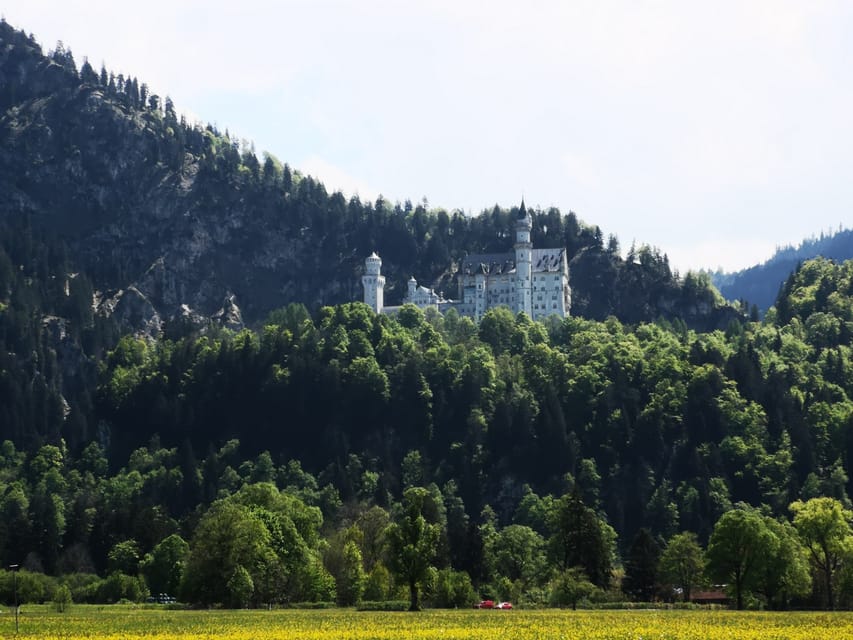 Munich: Neuschwanstein Castle by Bus with Alpine Bike Ride - Hohenschwangau Castle is a different choice