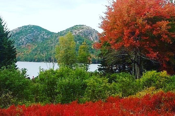 Narrated Bus Tour of Bar Harbor and Acadia National Park - What the $67.31 Price Gets You