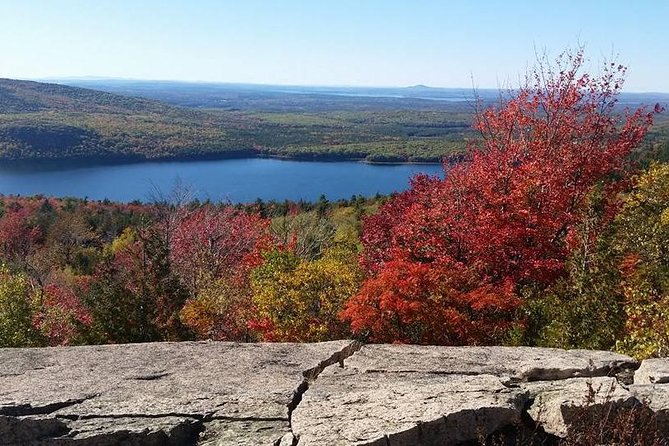Narrated Bus Tour of Bar Harbor and Acadia National Park - Timing, Comfort, and Practical Details