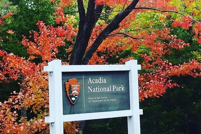 Narrated Bus Tour of Bar Harbor and Acadia National Park - Who Should Book This Acadia Tour?