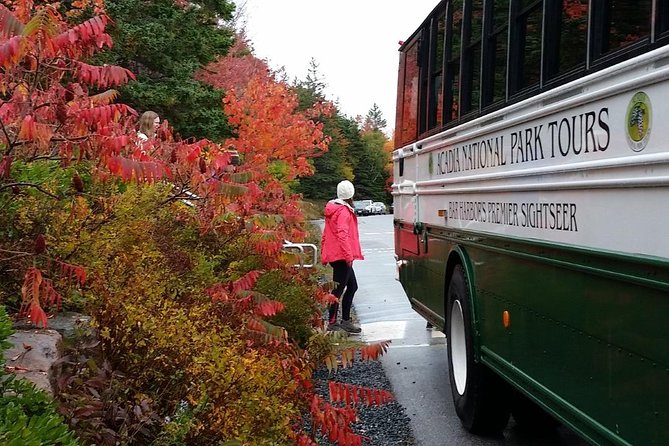 Narrated Bus Tour of Bar Harbor and Acadia National Park - Cadillac Mountain: A Fast Summit Stop