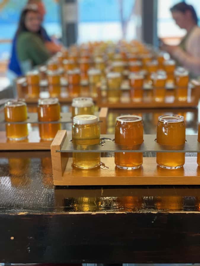 Nashville: Hop-On Hop-Off Brewery Trolley Tour - East Nashville Beer Works and the eastern route
