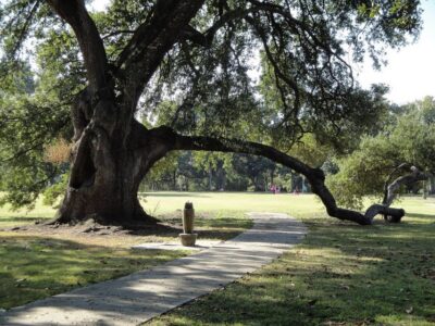 2-Hour 15-Minute City and Cemetery Tour by Bus
