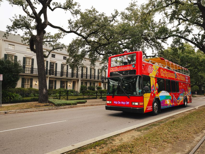 New Orleans: 2 or 3 Day Hop-On Hop-Off Bus with Walking Tour - Key points at a glance