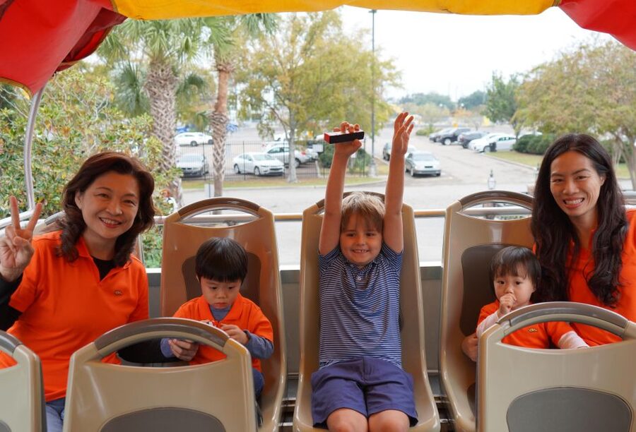 New Orleans: 2 or 3 Day Hop-On Hop-Off Bus with Walking Tour - The National WWII Museum and Magazine Street