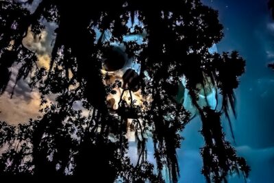 New Orleans Dead of Night Ghosts and Cemetery Bus Tour