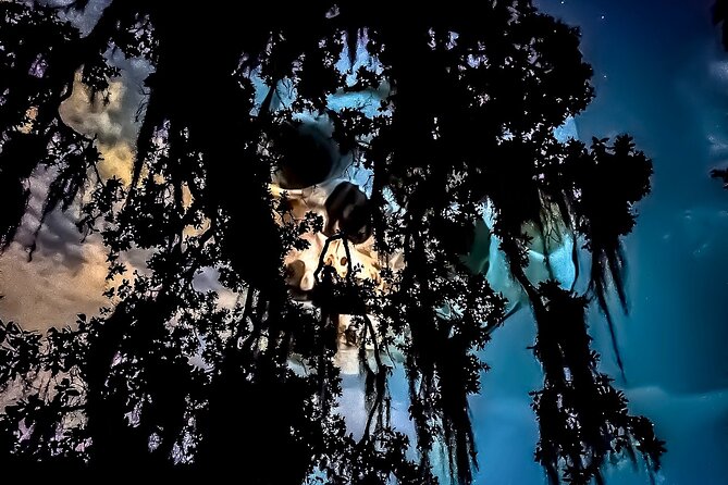 New Orleans: Dead of Night Ghosts and Cemetery Bus Tour - The cemeteries and cities of the dead