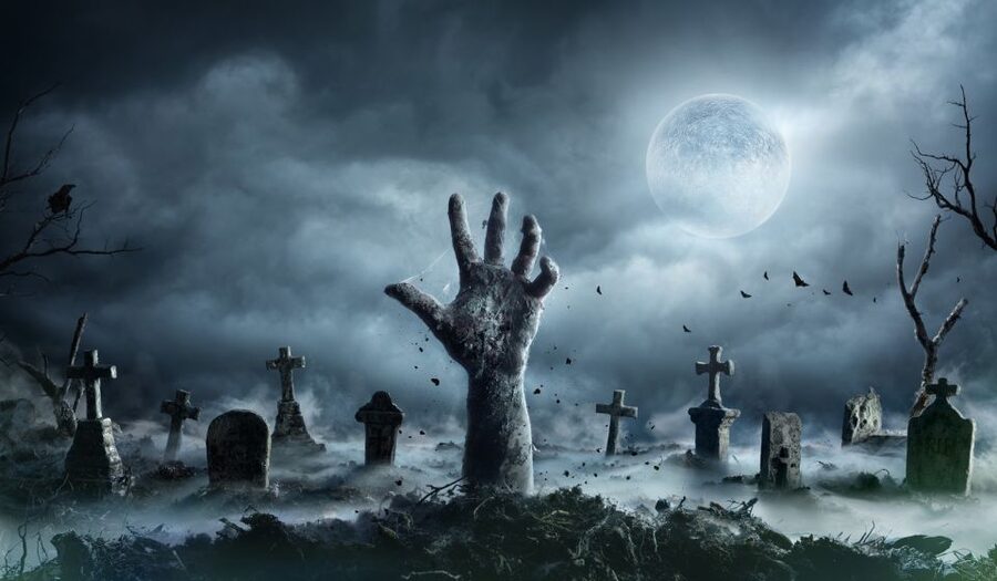 New Orleans: Night Cemetery and Ghost BYOB Bus Tour - EMF readers, dowsing rods, and the ghost-hunting side