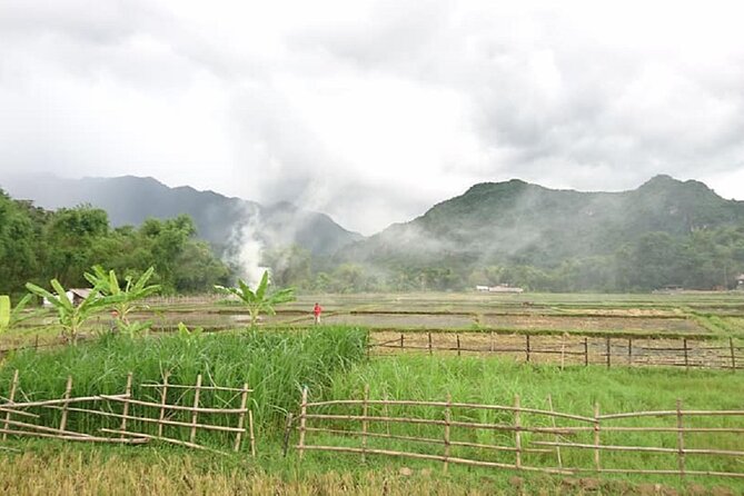 Ninh Binh Daily Tour All-Inclusive Bus, Guide, Lunch & Activities - Hoa Lu, Vietnam’s former capital