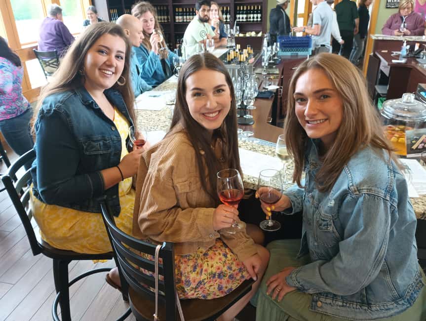 NON-BUS MOVIE STARS Leelanau Peninsula Sunset Wine Tour - Practical booking advice