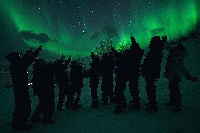 Northern Lights Big Bus Chase with Chasing Lights - What your evening in Tromsø looks like