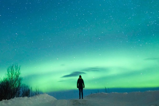 Northern Lights Bus Tour from Reykjavik with Hot Chocolate - Hot chocolate, warmth, and the practical comforts