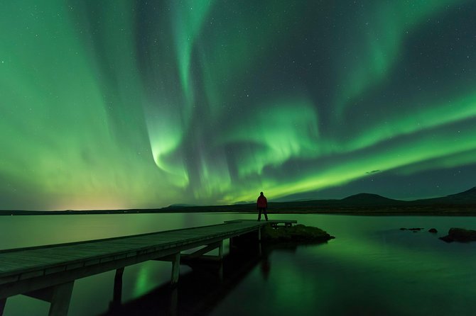 Northern Lights Guided Bus Tour from Reykjavik - Seeing the lights with your own eyes