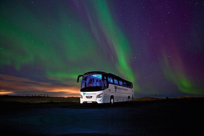 Northern Lights Guided Bus Tour from Reykjavik - Price and value at $73