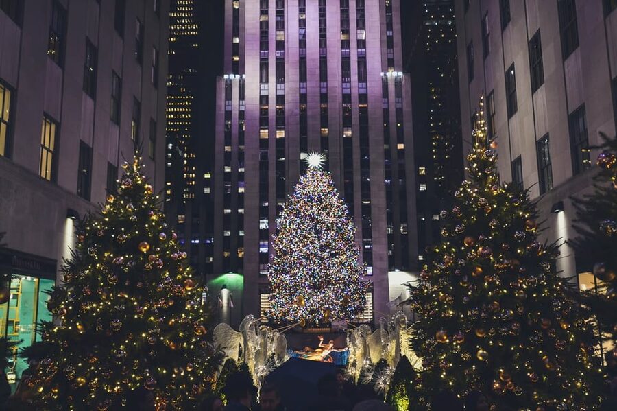 NYC: Dyker Heights and NYC Holiday Lights Luxury Bus Tour - Key points to know before booking