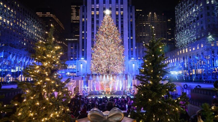NYC: Dyker Heights and NYC Holiday Lights Luxury Bus Tour - Brooklyn Bridge Park and Lady Liberty views