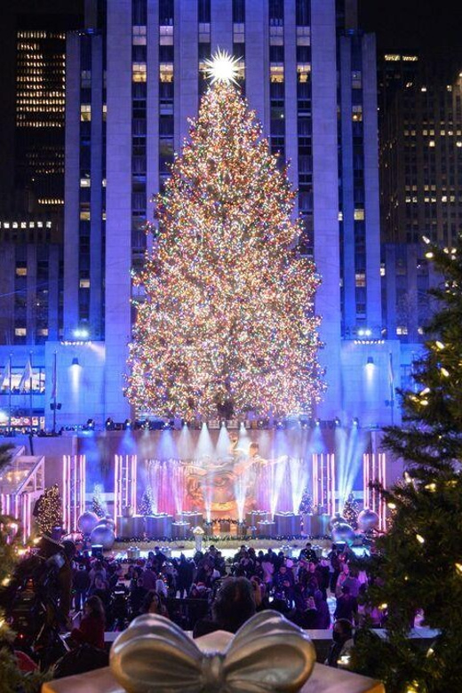 NYC: Dyker Heights and NYC Holiday Lights Luxury Bus Tour - Is $75 a fair price for four hours?