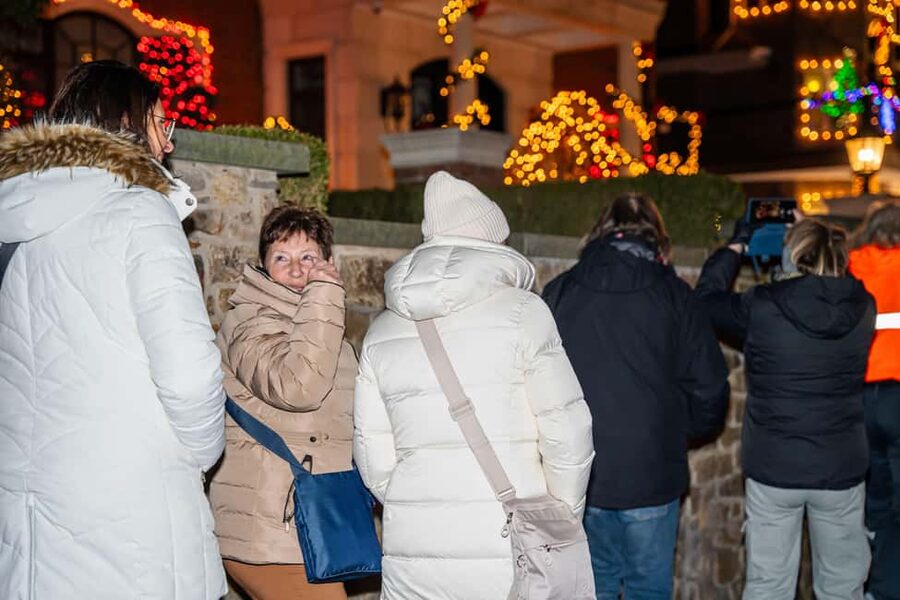 NYC: Holiday Lights and Dyker Heights Luxury Bus Tour - Who will enjoy this holiday bus tour