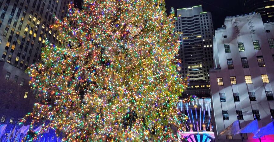 NYC: Holiday Lights Guided Bus Tour - Luminaries inside Winter Garden Hall