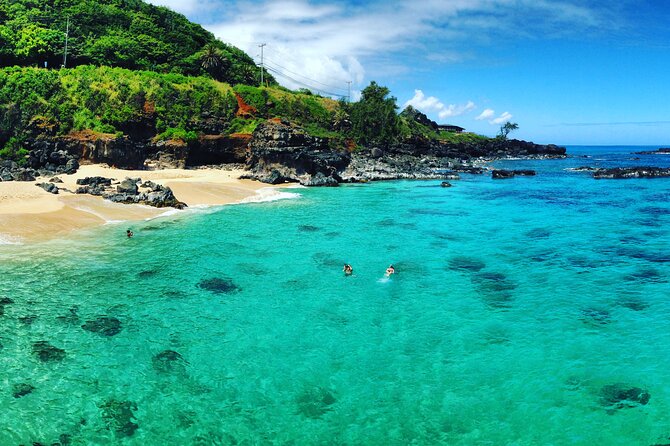 Oahu North Shore Experience: Activities, Waterfall & Free Time - Waimea Valley and the waterfall swim