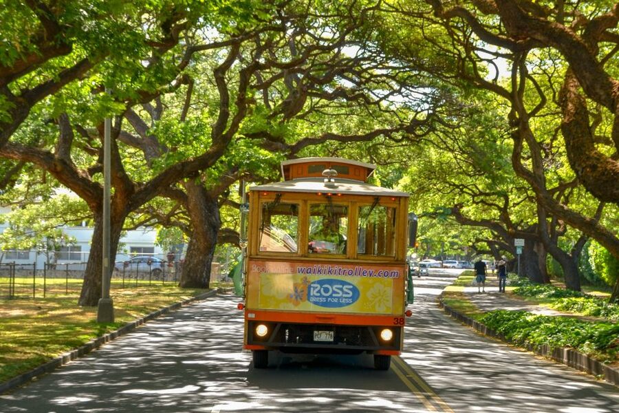 Oahu: Waikiki Trolley Hop-on Hop-off All-Line Pass - Who will get the most from this pass