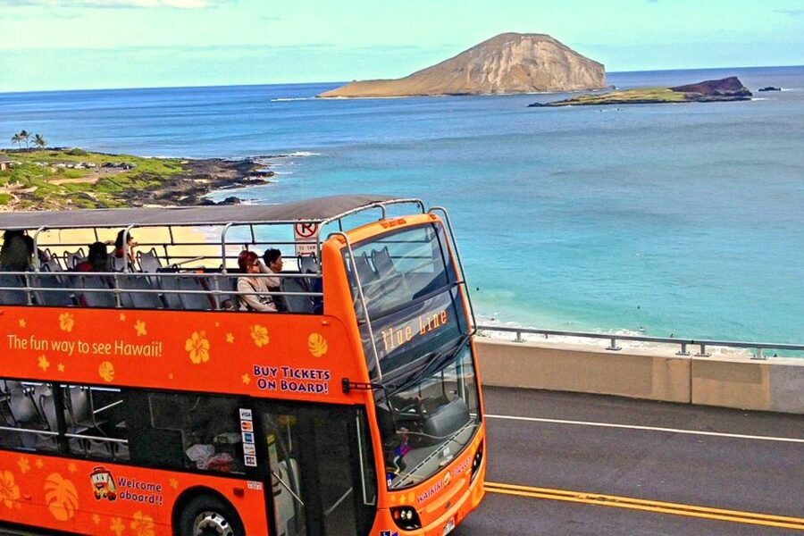 Oahu: Waikiki Trolley Hop-on Hop-off All-Line Pass - Pink Line: the useful Waikiki and Ala Moana shuttle