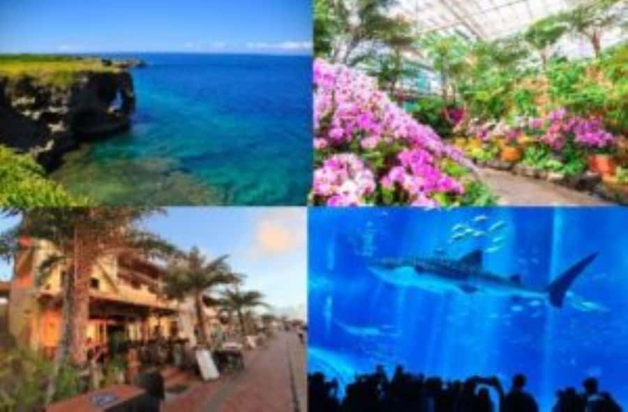 Okinawa: Bus Tour to Churaumi Aquarium with Sightseeing - Kariyushi Beach and the glass boat