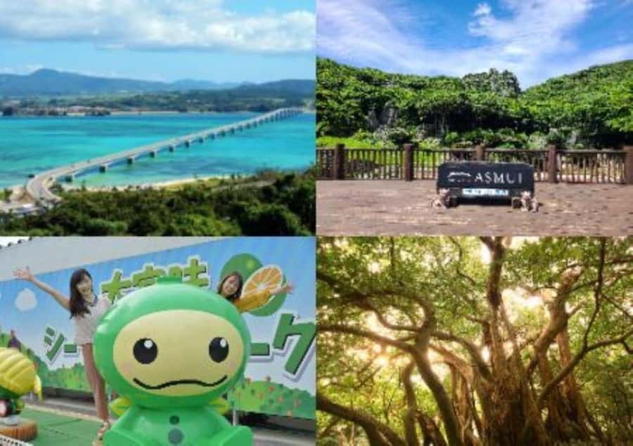 Okinawa: Full-Day Bus Tour to Yanbaru National Park - Key points to know before booking