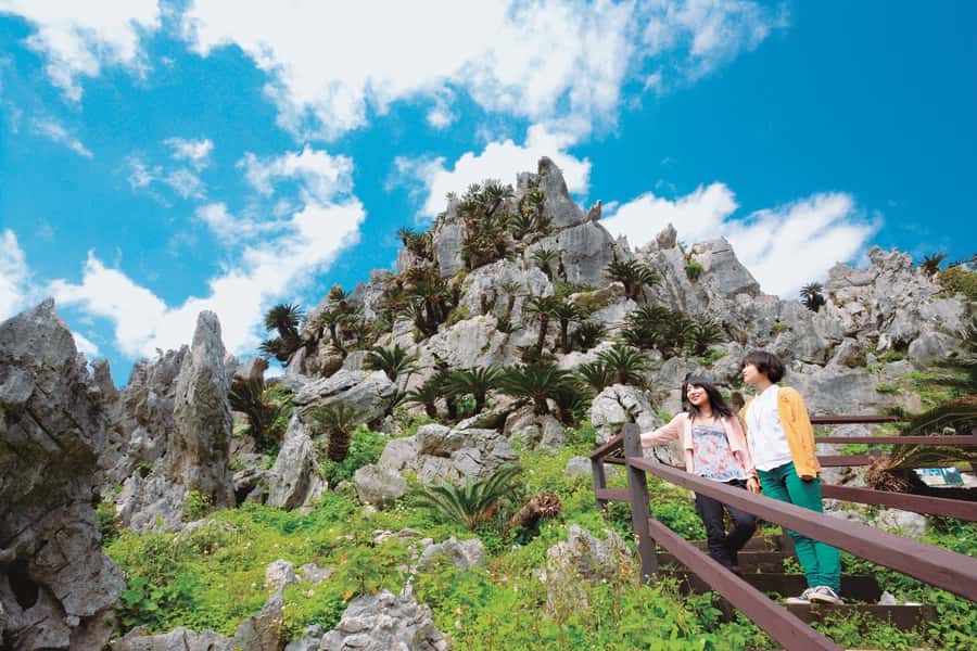 Okinawa: Full-Day Bus Tour to Yanbaru National Park - Why northern Okinawa deserves a full day