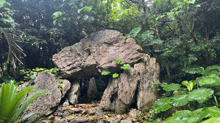 Okinawa: Full-Day Bus Tour to Yanbaru National Park - Cape Hedo and the northern edge of Okinawa