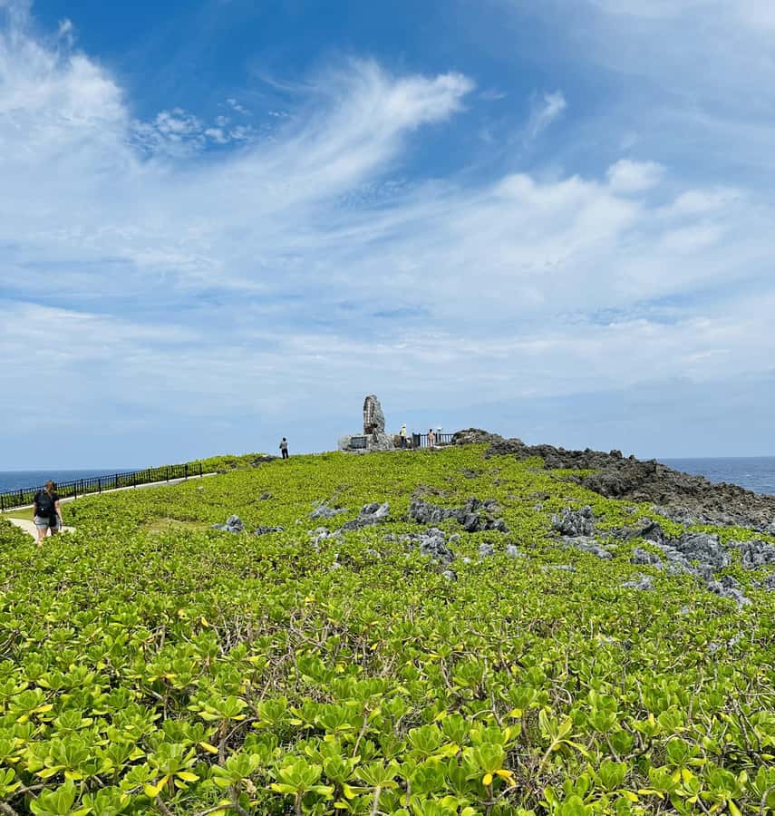 Okinawa: Full-Day Bus Tour to Yanbaru National Park - The Okinawa rail and a closer look at local wildlife