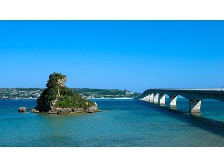 Okinawa: Full-Day Bus Tour to Yanbaru National Park - What the $98 price really covers