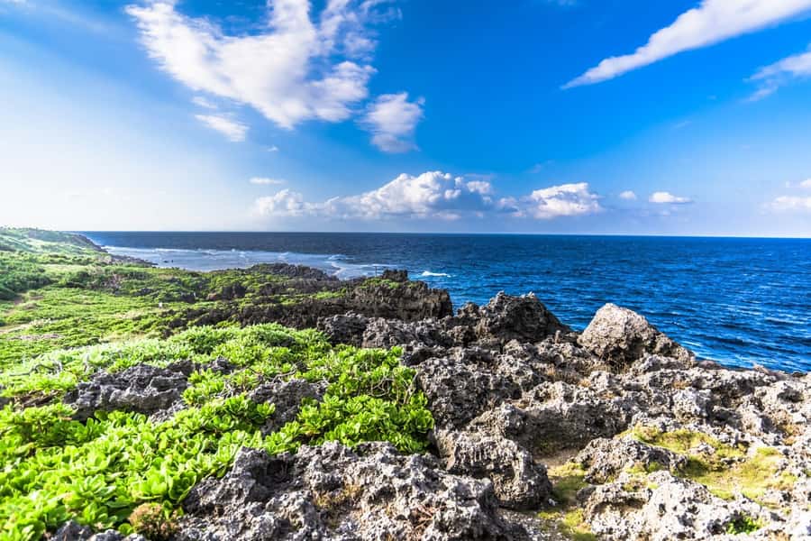Okinawa: Full-Day Bus Tour to Yanbaru National Park - Morning pickup from three Naha locations