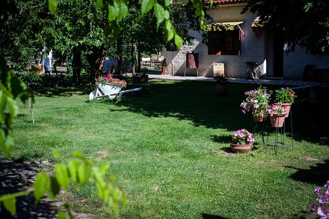 Olympia - Private Half Day Tour with Mini Bus - Beach time, coffee, or a Greek lunch