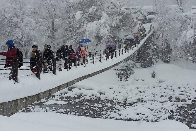 [One-day bus tour departing from Kanazawa Station] Shirakawa-go and Gokayama - Two World Heritage Villages Enjoyable Bus Tour - A local lunch that protects your sightseeing time