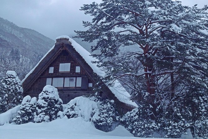 [One-day bus tour departing from Kanazawa Station] Shirakawa-go/Takayama tour platinum route bus tour - What the 4.7 rating tells you