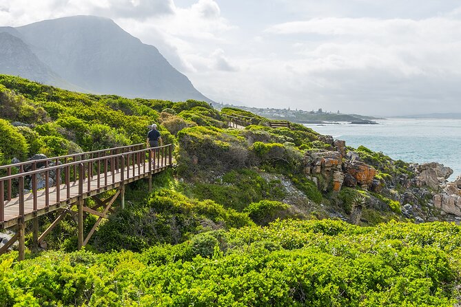 One-Way Hop-on Hop-off Bus from Cape Town to Port Elizabeth - Cape Town to Stellenbosch: city energy meets wine country