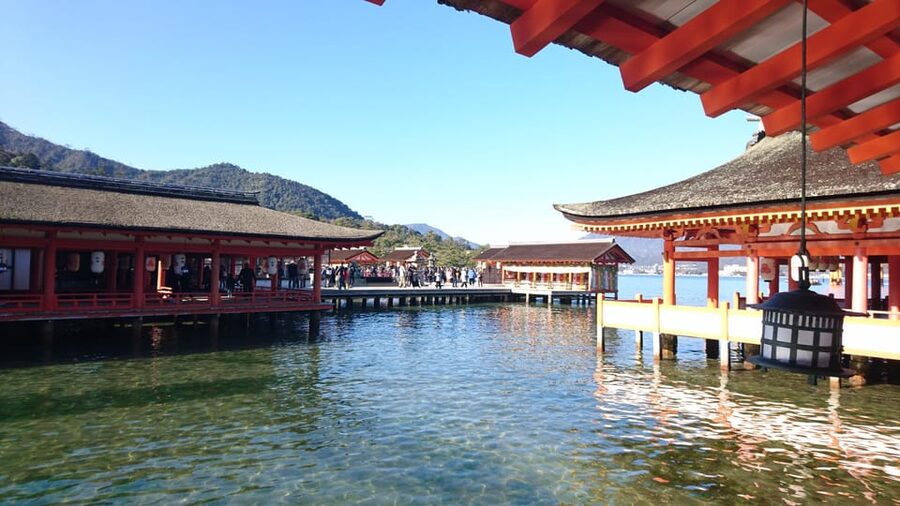 Osaka/Kyoto: Hiroshima Miyajima Bus Tour & Shinkansen Ticket - Who should book this experience?
