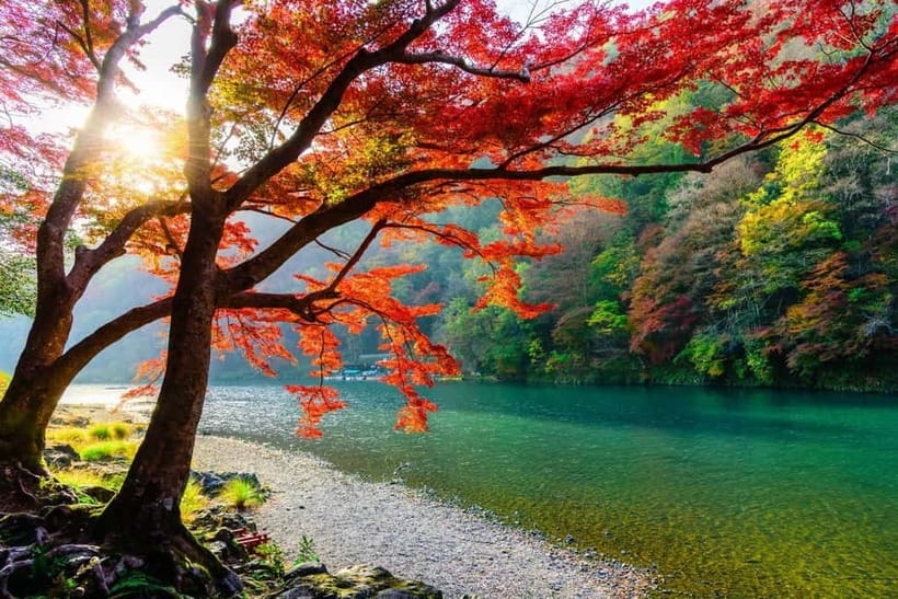 Osaka/Kyoto: Katsuoji, Kinkakuji, Arashiyama 1-Day Bus Tour - Guides help most with directions and time control