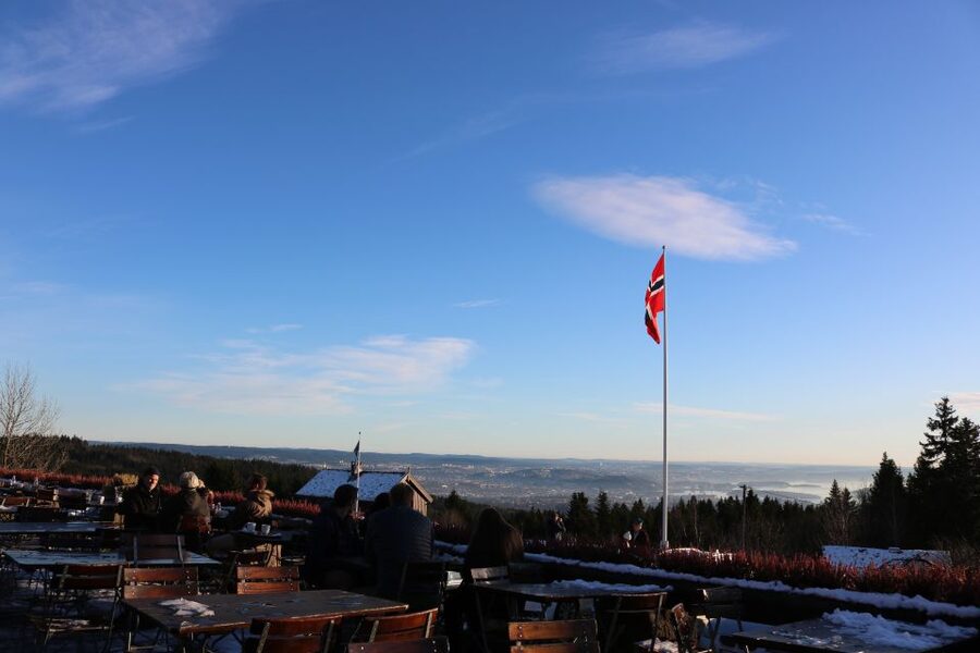 Oslo: Guided Oslo Highlights Tour by bus & Oslofjord cruise - One artist’s vision at Vigeland Sculpture Park