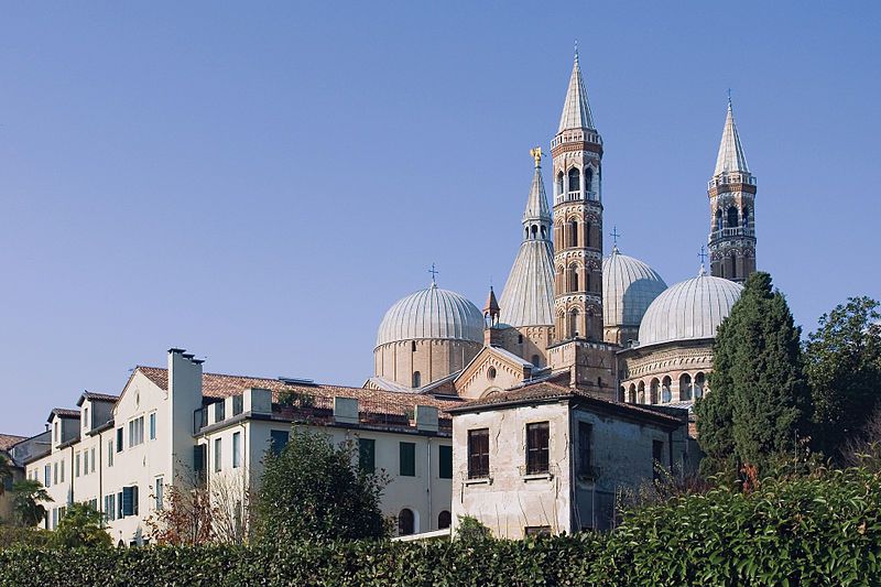Padua Hop-on Hop-off Tour: 24-Hour Ticket - What the Padua Bus Tour Is Really Good For