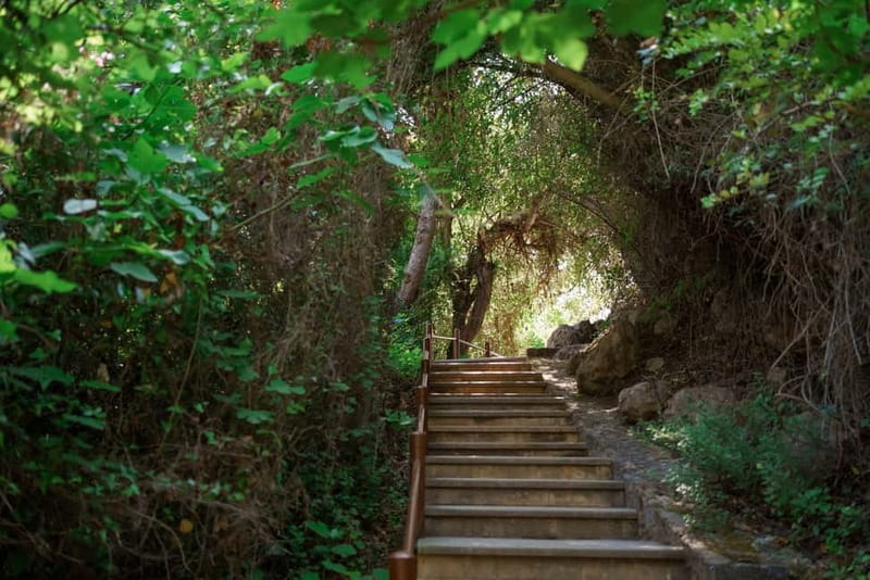 Paphos/Akamas: Blue Lagoon Bus & Boat Tour with Water Slide - The coach ride through Akamas