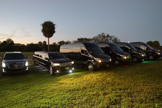 Party Bus Luxury Sprinter Limos - Airport, port, and long-distance group transfers
